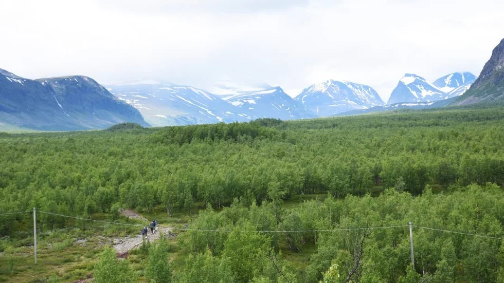 Fjällvärlden. De tre åtalade männen misstänks ha samlat ägg från ruvande fåglar. I vissa fall handlar det om skyddsvärda arter. Åtalet gäller händelser i Kirunafjällen, Kalix och Boden för Norrbottens del. Även andra delar i landet är berörda.