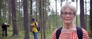 Forskningsresan besöker pantertanterna