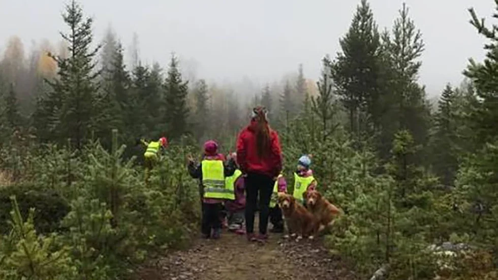 Naturen nära. Barnen på Kids corner är ofta på utflykt ute i naturen. Skogen finns nära , nästan runt hörnet.