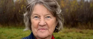 Ny lekpark och anslagstavla till byn