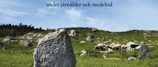 Två vikingar under luppen