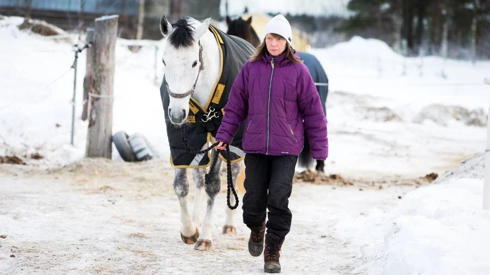 Livsviktiga. Hästarna är en självklar del av Monicas liv, men när hon var som sjukast orkade hon inte ens rida.