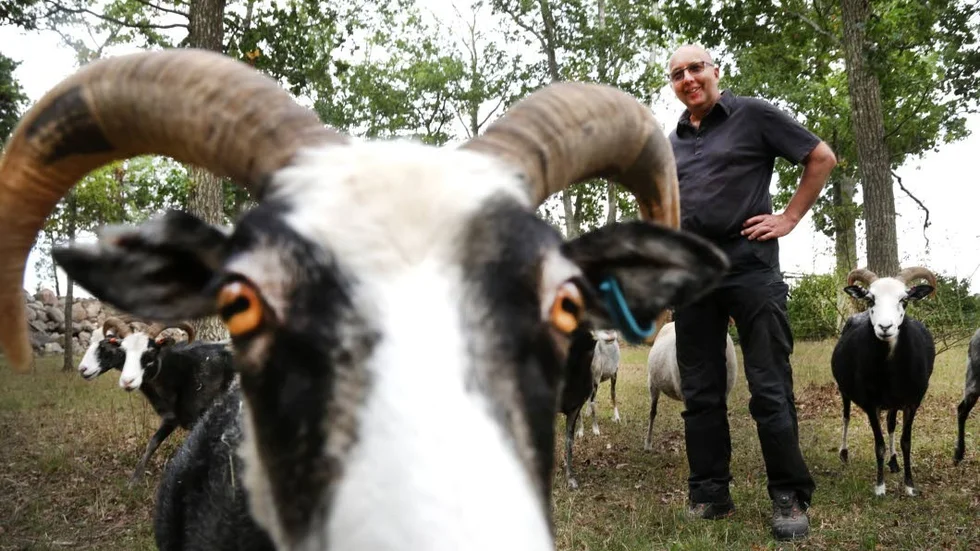 Klockaren och deltidslantbrukaren Bo Kristiansson i Fardhem bor i ett av partiets absolut starkaste fästen i landet.