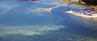 SMHI: Riktigt dåligt algläge för Gotland