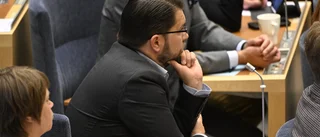 Sverigedemokraterna går Putins ärenden