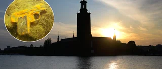 Uppgifter i utredningen: Tidigare SD-politiker medger att han riktade pistol mot offret och styckade kroppen