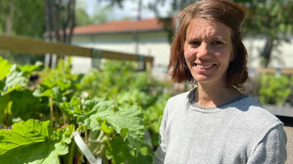 "Det finns många olika metoder för att få bukt med mördarsniglar i trädgården - klippa isär, snigeleffekt eller ölfällan", säger Linda Eklund, trädgårdsmästare.