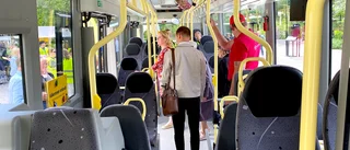 Mer måste göras för att få bort tjuvåkandet