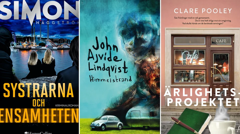 Nu stundar sommaren, och då finns det mer tid till läsning för många. ”Systrarna och ensamheten”, ”Himmelstrand” och ”Ärlighetsprojektet” är tre lästips. 