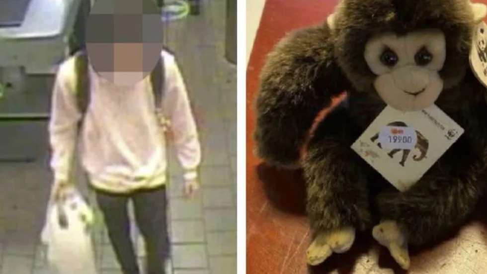 Mannen fotograferades av en övervakningskamera när han handlade i en livsmedelsbutik. I förhör berättade han att en del av pengarna gick till att köpa gosedjur. (Bilderna är hämtade ur förundersökningen.)