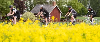 Motala vill bli cykelcentrum – hoppas på ny led runt hela Vättern