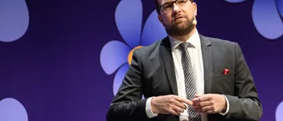 SD:s smutsiga byk hängs ut till allmän beskådan • Jimmie Åkesson gick med i ett parti som ordnade bokbål