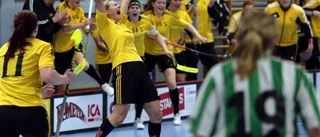 Endres jubel efter uppflyttningen