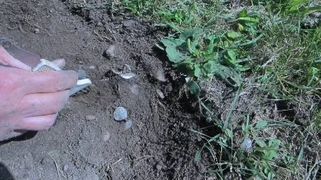 Utgrävning av silverskatt i Eskelhem.
