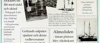 Haimdagar om Almedalen före riksberömmelsen