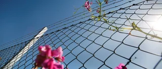 Lika för alla – nä inte riktigt