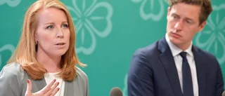 C misstror offentlig verksamhet