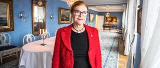 Snart hinner Cicci fånga det spontana