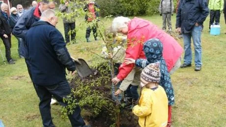 GRATTIS, ÖN. Med hjälp av Sandöns platschef Daag Pedersén och Thomas Persson från länsstyrelsen planterar landshövding Marianne Samuelsson en lundalm som present åt 100-åriga nationalparken på Gotska Sandön.