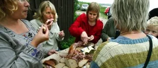 "Haggan" i hamn