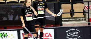 Så har ditt gotländska favoritlag värvat