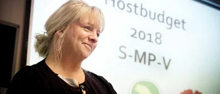 BUDGETEN Här är satsningarna