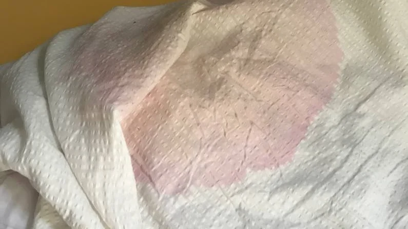 En Visbykvinna fick mycket i sin lägenhet förstört vid uthyrningen under Almedalsveckan.