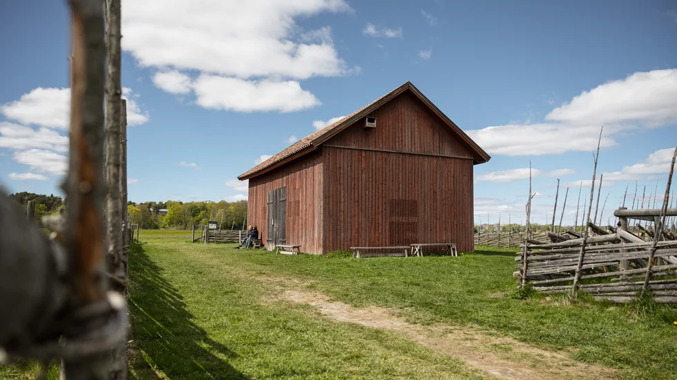 Ladan på Kungsängen söder om Uppsala är en plats där häckande tornseglare brukar ses. Också här har man skapat fler boplatser genom att sätta upp fågelholkar på ladan, även om just denna lada är en klassisk ängslada utan hängrännor.