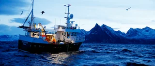 Lämna fisken i fred och rensa soporna