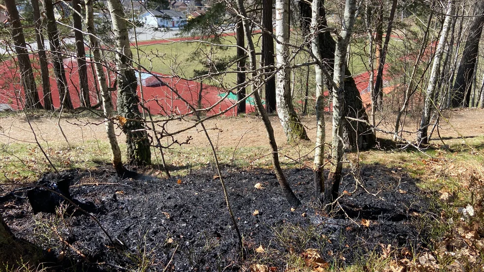Ett omkring fyra gånger fyra meter stort område brann nedanför Fjällgatan i Gnesta.