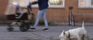 Olämplig ägare får bitande hund