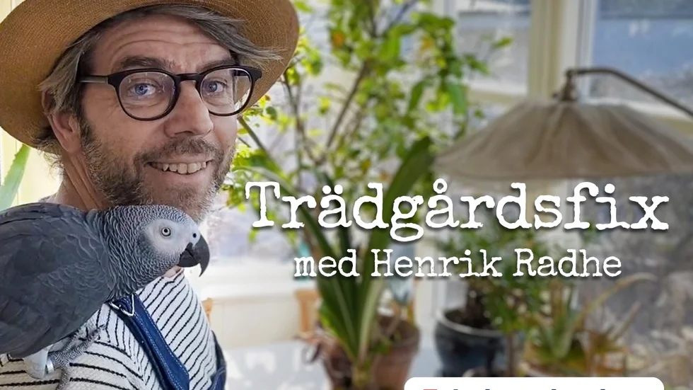 Varje torsdag under våren och sommaren kommer Henrik Radhe att bjuda tittarna på tips och trix i trädgården.