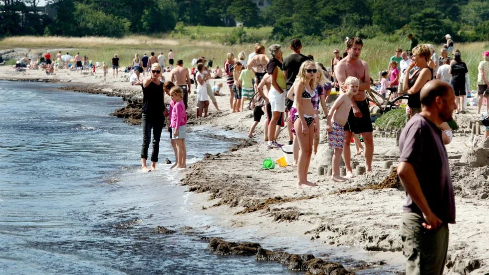 Vattenkvalité. Sandviken är en utav badplatserna som Region Gotland kommer att kontrollera kontinuerligt i sommar. ?