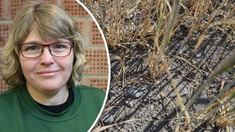 Anna Törnfelt, ordförande för LRF Gotland, hoppas på "normalt" väder under 2019.