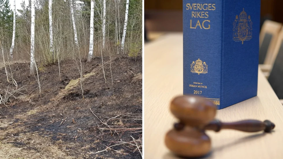 En 54-årig man har dömts för mordbrand. Lågorna kunde ha spridit sig till ett närliggande villaområde, enligt tingsrättens dom.