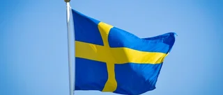 FÖRSLAG: Skyltar om att Gotland tillhör Sverige