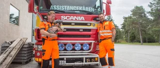 "Jag vill gärna uppmärksamma Gotland"