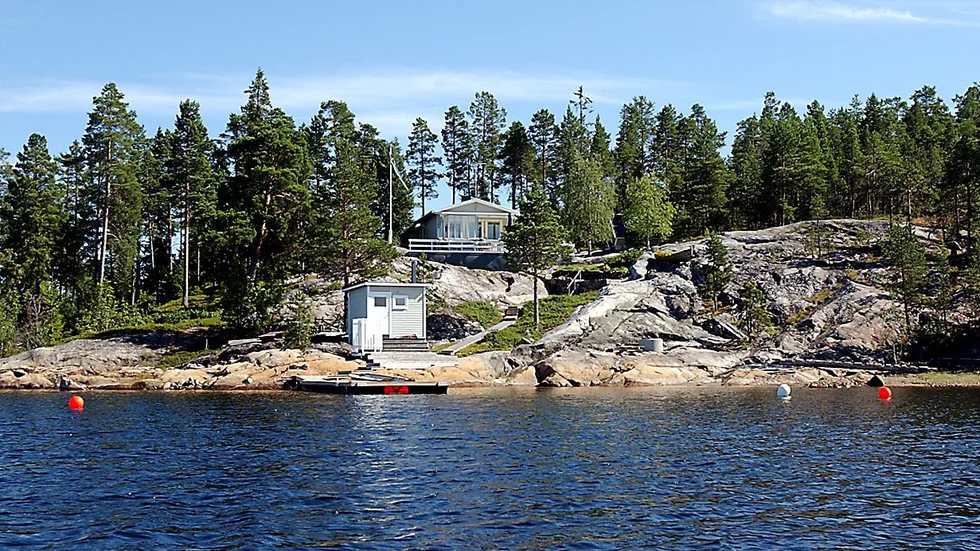 Skribenten är orolig för skogsavverkningen på Halsön och får svar direkt.
