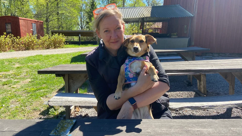 Nu drar sommarsäsongen igång och det blir ingen semester för Maria Bystedt förrän i september. "Nu är det våra oxveckor här, nu kör vi bara", säger hon. Med på ett hörn finns Harriet, en adopterad hittehund från Irland.  