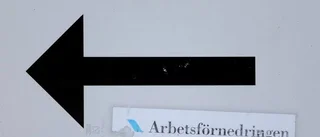 Därför varnas arbetsförmedlare
