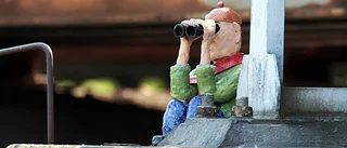 Ännu en figur har dykt upp vid Stångån