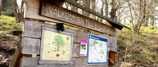 Som "en våt filt" eller "en död hand"