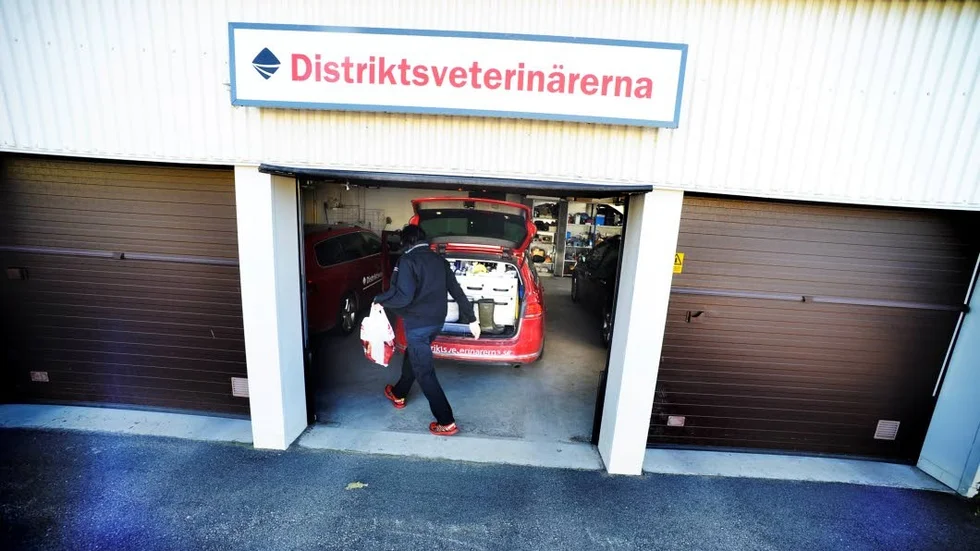 Djur. Det finns ingen brist på jourveterinärer i norra Kalmar län.