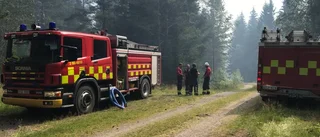 Räddningstjänsten kämpade med svårsläckt skogsbrand