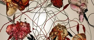 Nationalmuseum vill ha hennes verk
