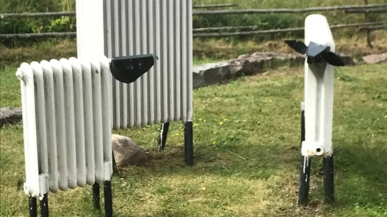 Hård trio. Flocken är liten, om endast tre individer, som skulle kunna vara en bagge, en tacka och ett lamm.
