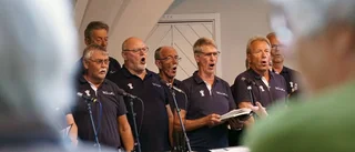 Rekordsommar i stadsparken