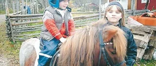 Ellen och Hästmannen på Hästens dag
