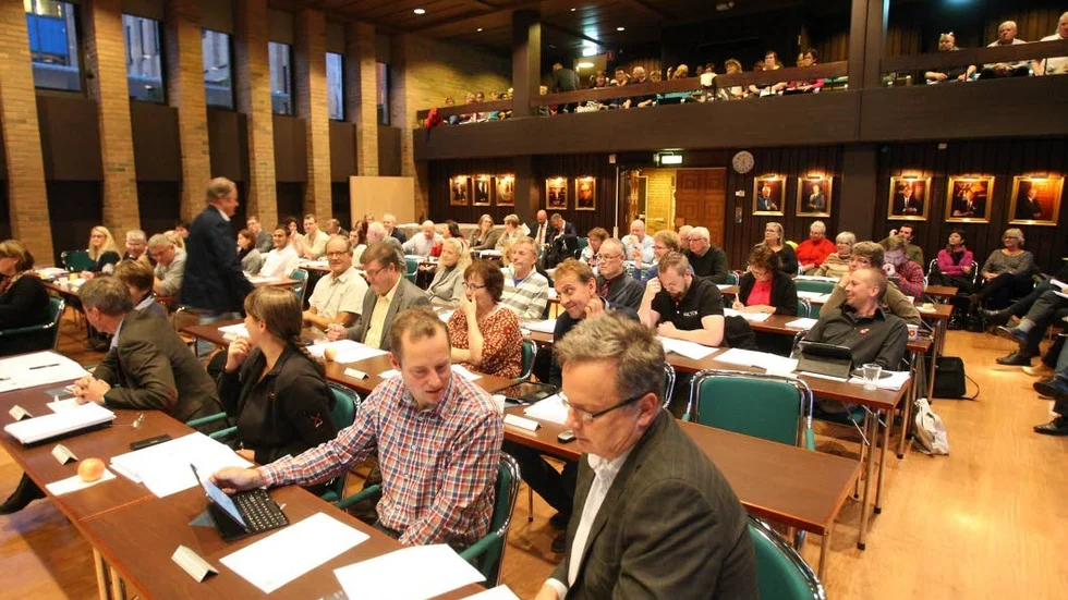 Partierna i fullmäktige fick tillsammans 439 000 kronor i lokalt partistöd i fjol.