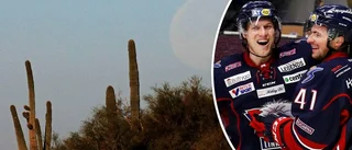 KARTA: Härifrån är LHC-spelarna